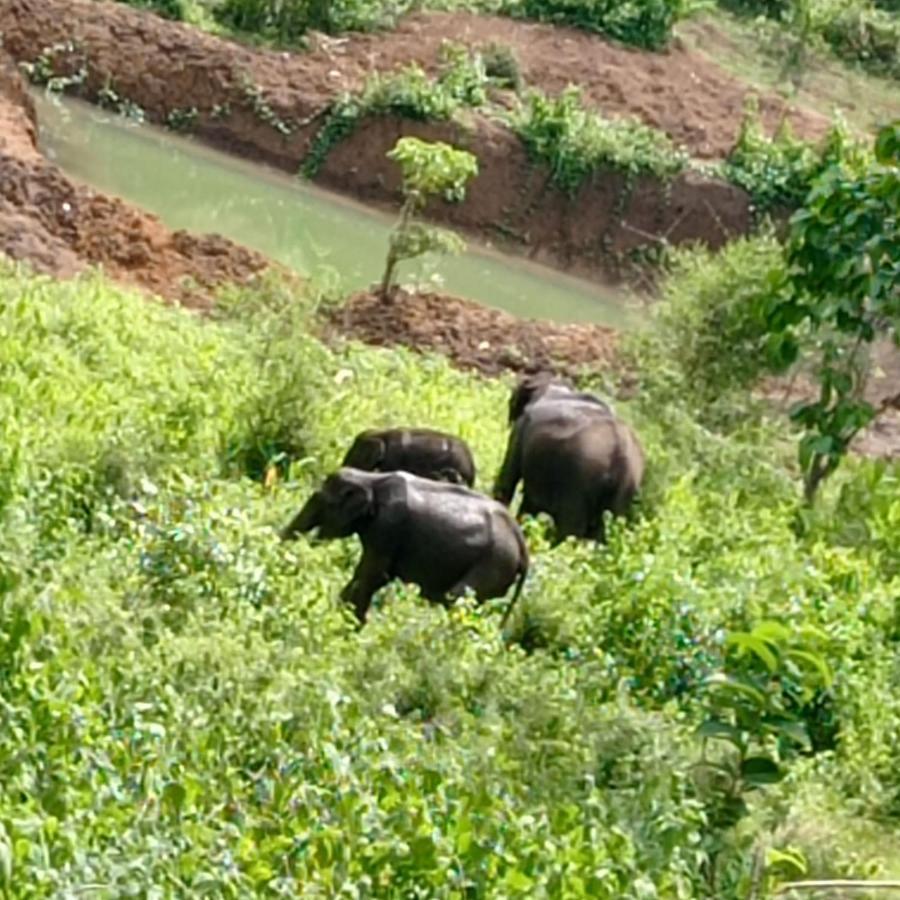 Kuruva Shoreline Wayanad Chegāt Екстериор снимка
