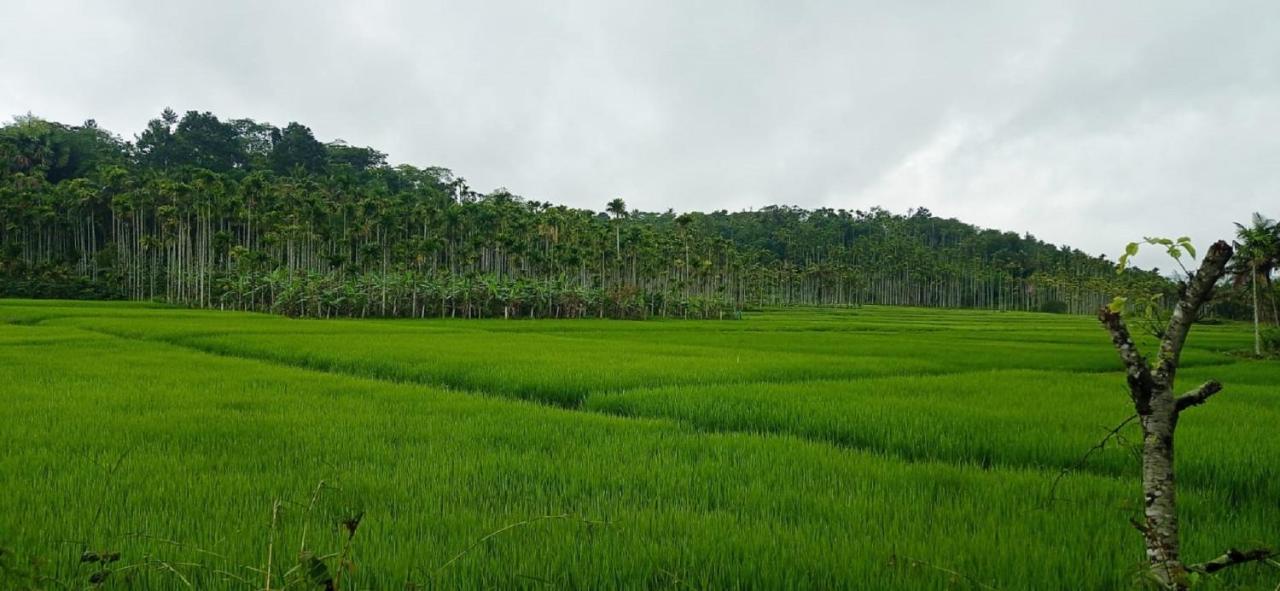 Kuruva Shoreline Wayanad Chegāt Екстериор снимка
