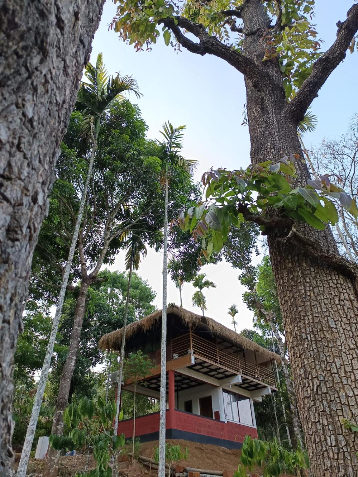 Kuruva Shoreline Wayanad Chegāt Екстериор снимка