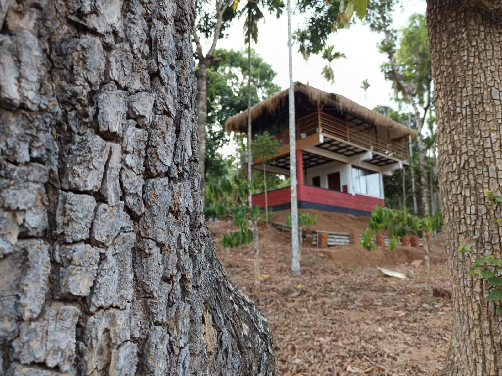 Kuruva Shoreline Wayanad Chegāt Екстериор снимка
