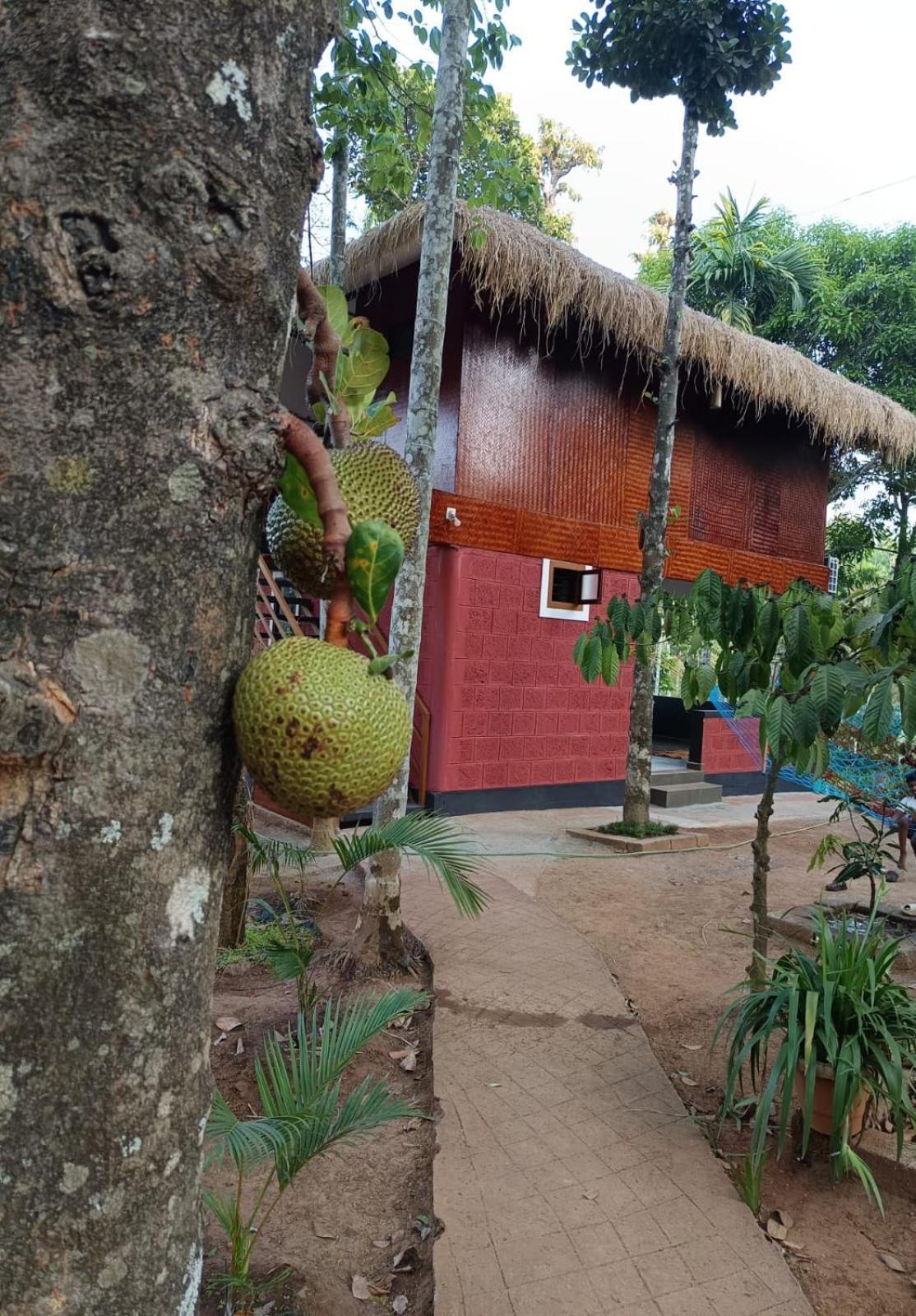 Kuruva Shoreline Wayanad Chegāt Екстериор снимка