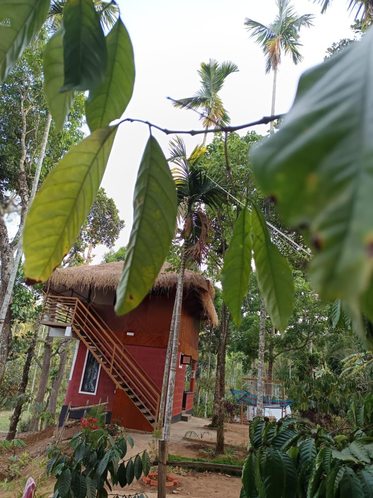 Kuruva Shoreline Wayanad Chegāt Екстериор снимка