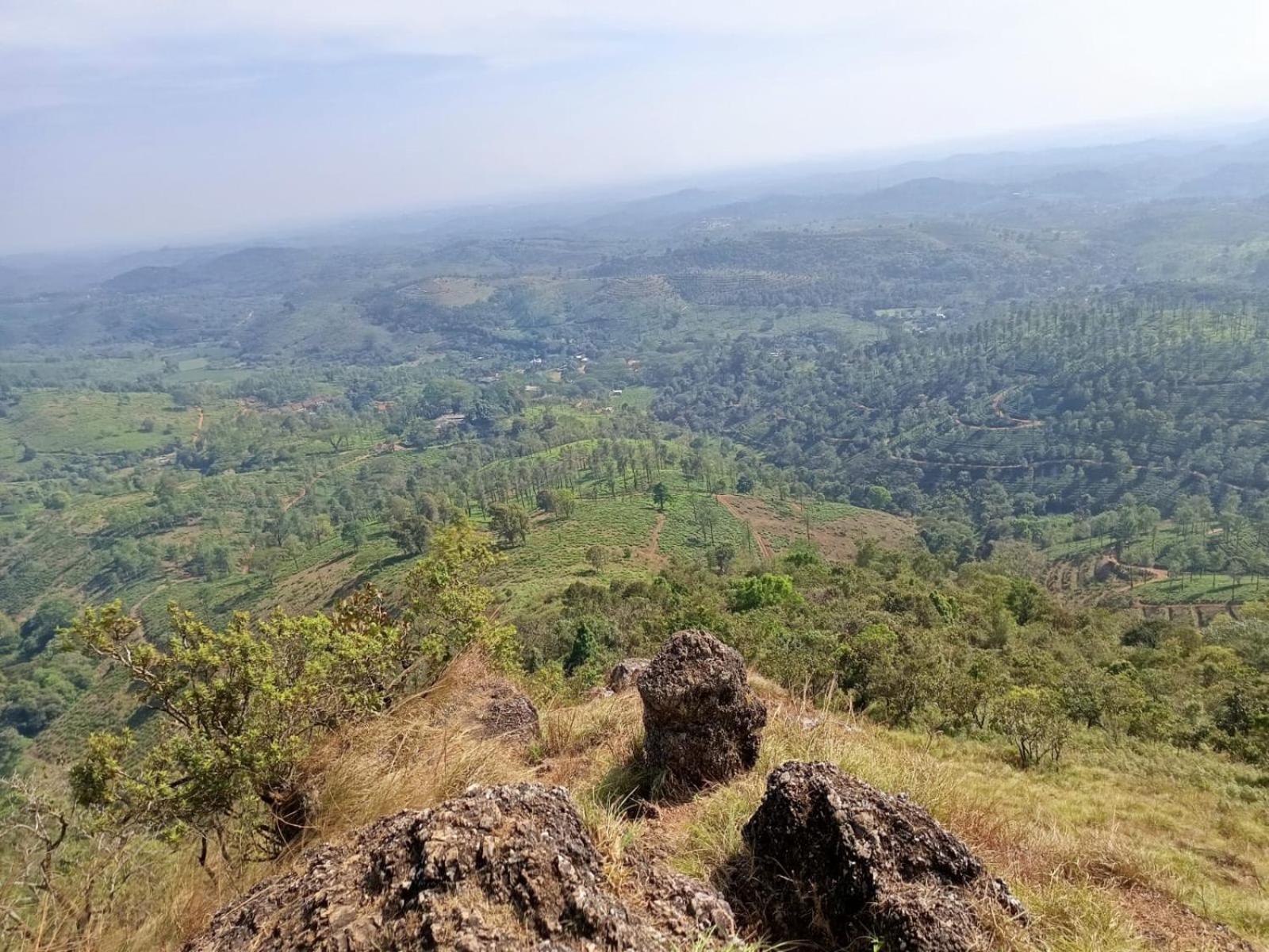 Kuruva Shoreline Wayanad Chegāt Екстериор снимка