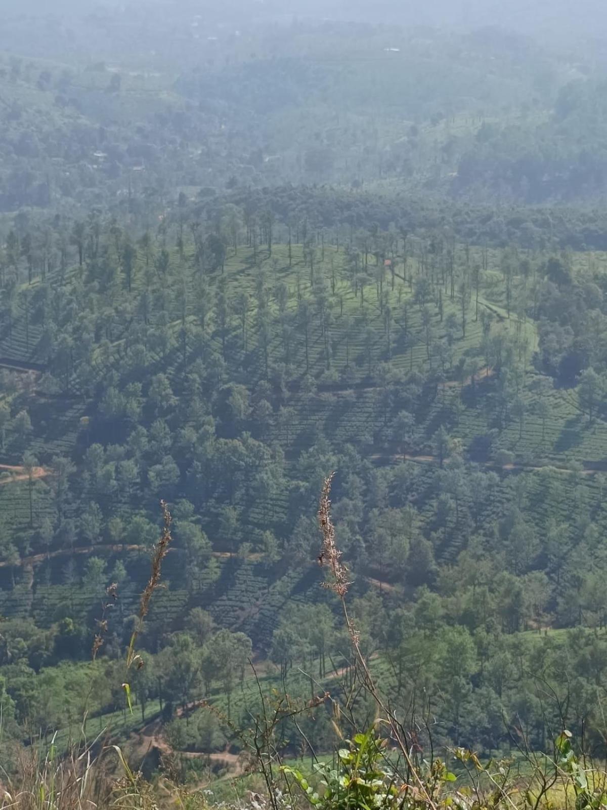 Kuruva Shoreline Wayanad Chegāt Екстериор снимка